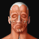 Virtual Human Body
